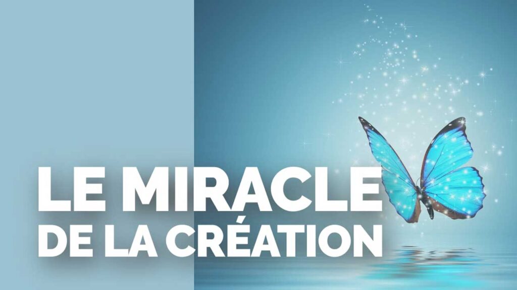 Le miracle de la création