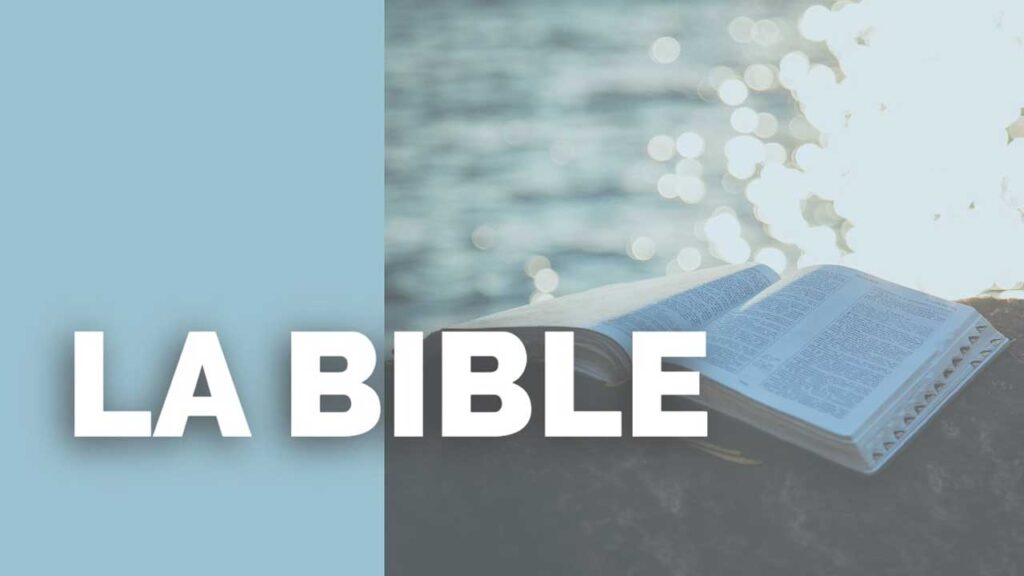 La Bible - Séries Thématiques