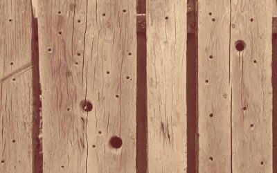 Le garçon et les trous dans la clôture