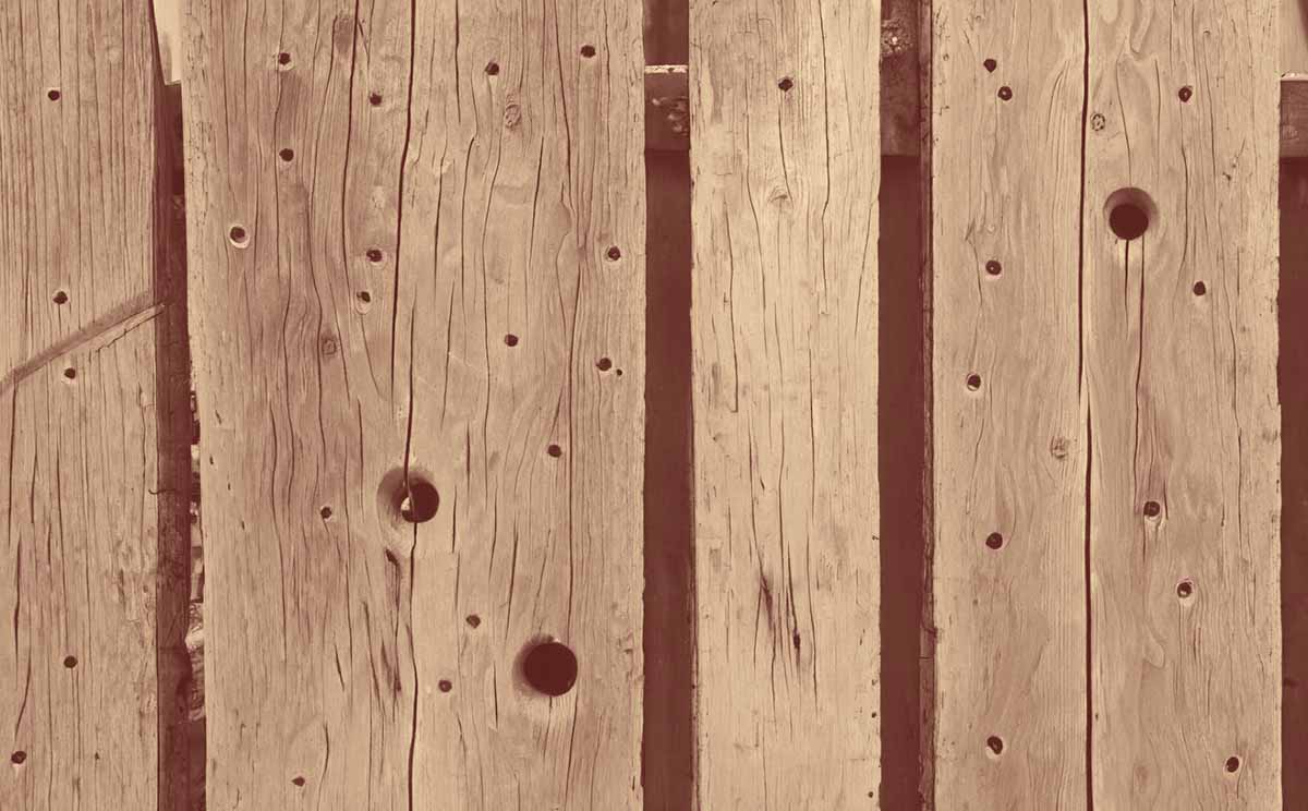 Le garçon et les trous dans la clôture